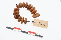 Foto von Perlenkette (NHMW-PRAE-025217)